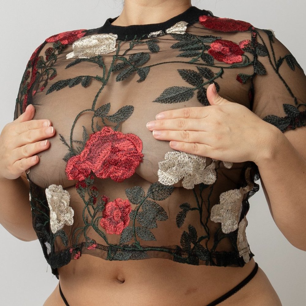 Floral Embroidered Sheer Crop Top